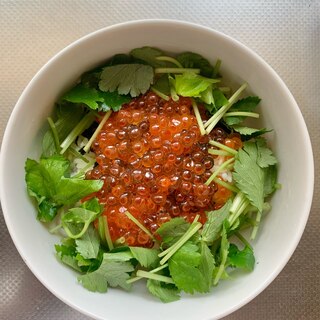 簡単♪いくら丼